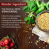 Fenucleanse Dandruff Treatment Combo