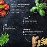 Fenucleanse Dandruff Treatment Shampoo 250 ml