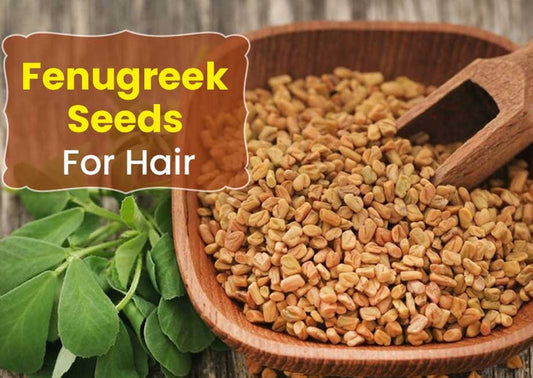 5 Reasons Why Fenugreek Seeds Are Perfect For Stronger, Thicker Hair!