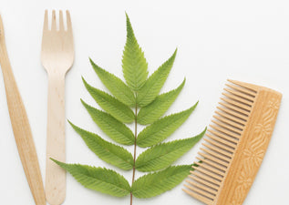 Unveiling the Benefits of Combing Hair with a Neem Comb